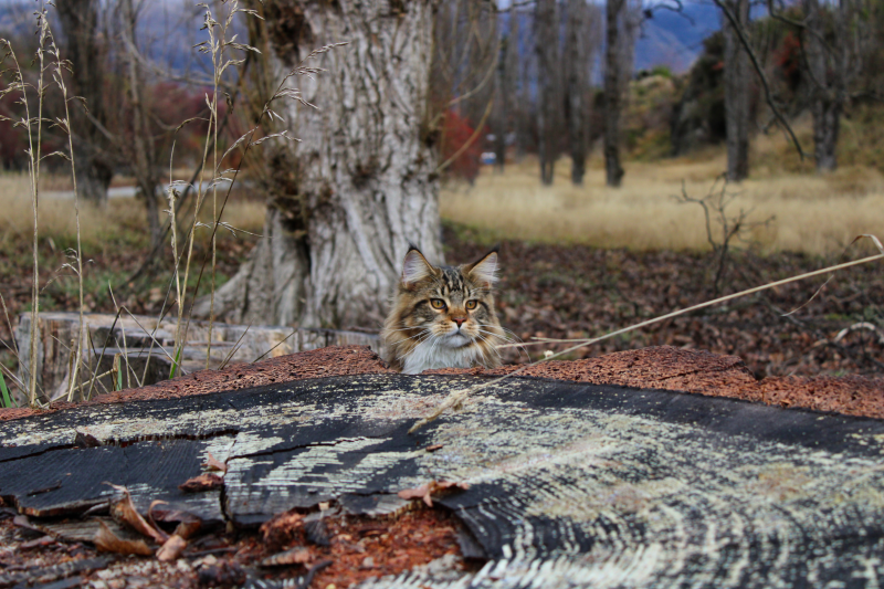 IMG EOS 1500D100 3770